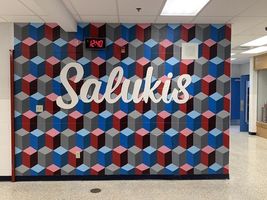 Red Hill Salukis Art Students - Mural