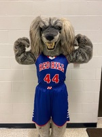 Saluki Shows His Saluki Pride